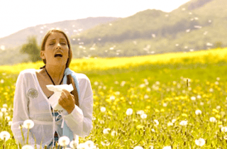 woman sneezes in a field of flowers