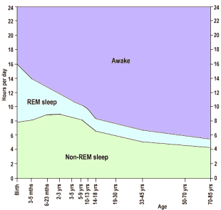 average rem sleep time