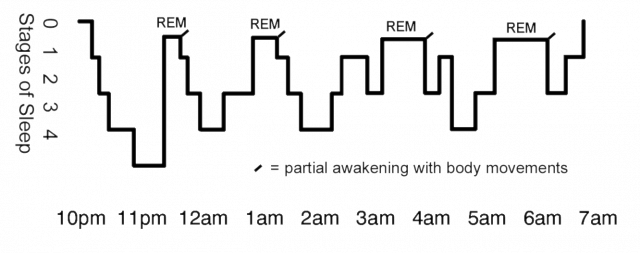 no deep sleep stage