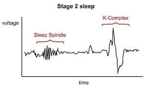 sleep-stage-2