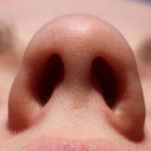 nostrils of nose