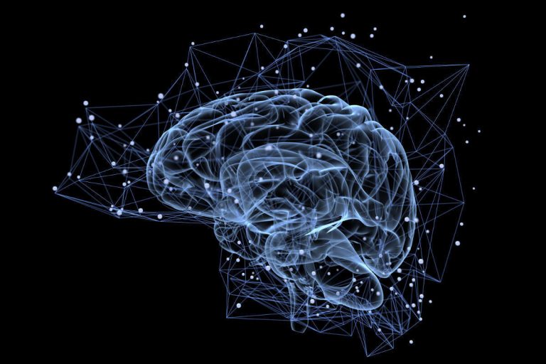 Brain and neural network