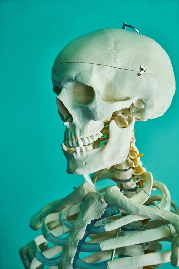 The contribution of the mandible to the severity of symptoms for sleep apnea sufferers suggests that a positioning device can alleviate symptoms