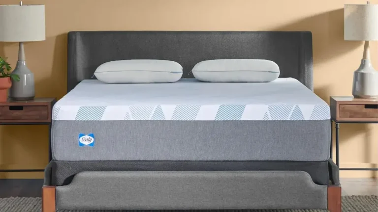 Sealy Dreamlife Memory Foam Mattress-foot